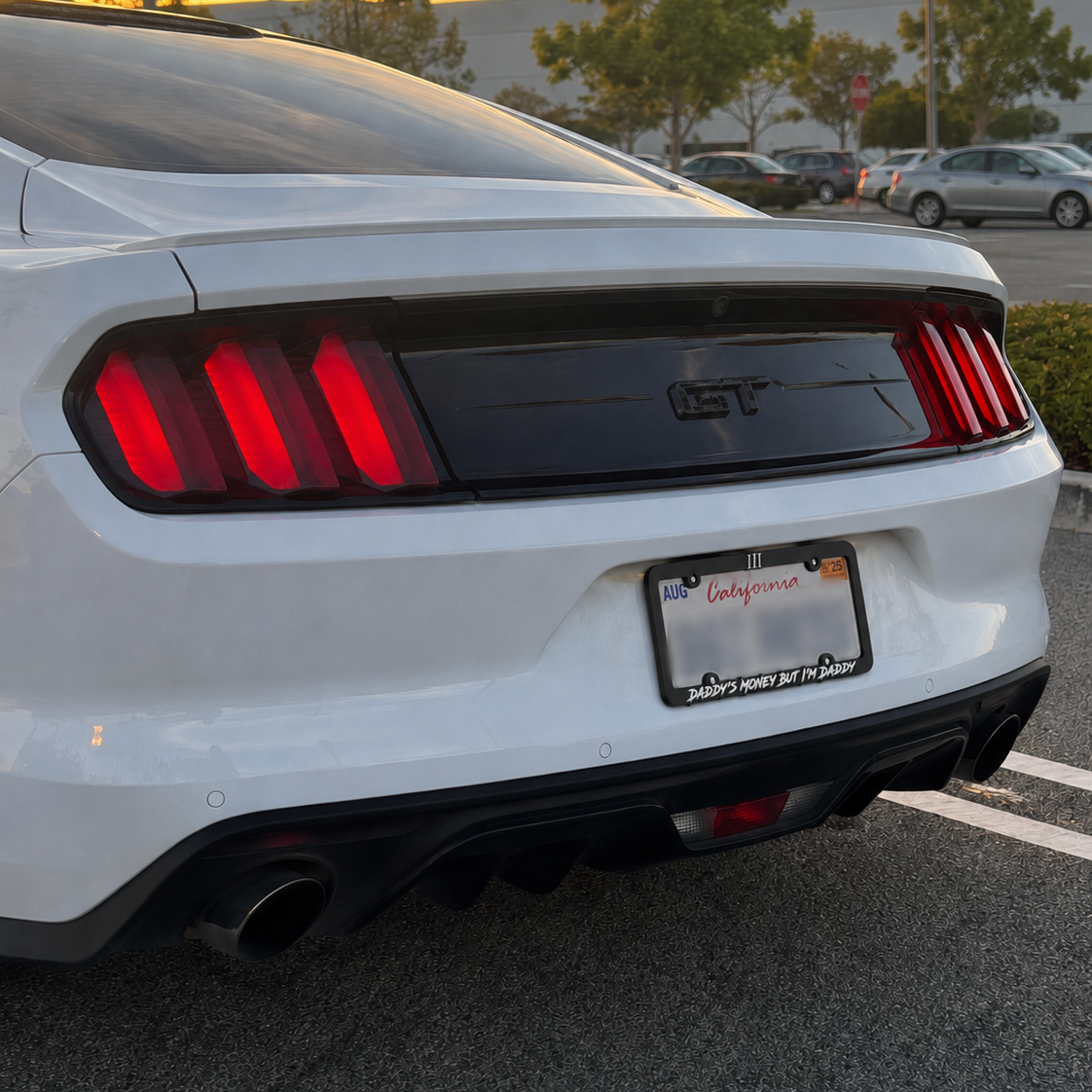“DADDY'S MONEY BUT I'M DADDY" TAG CLEAR DESIGN | LICENSE PLATE FRAME