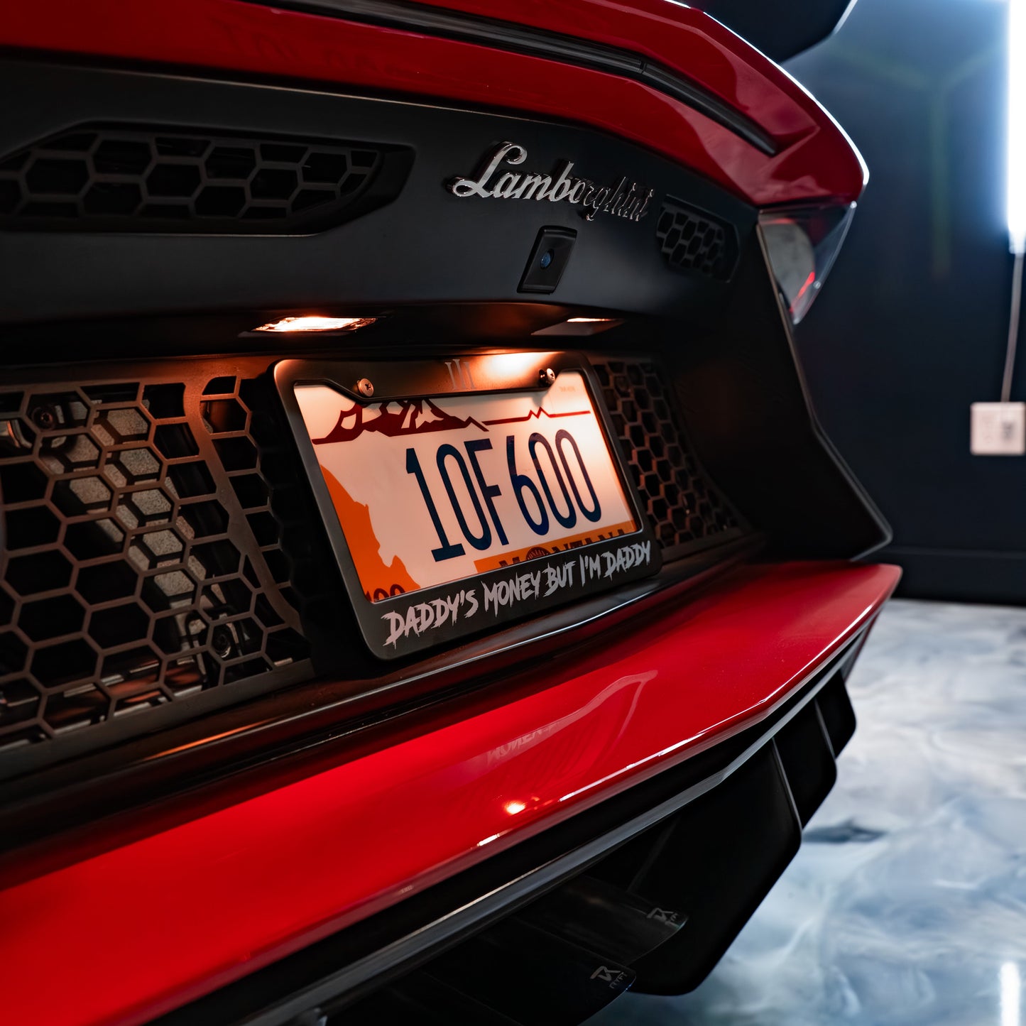 “DADDY'S MONEY BUT I'M DADDY" LICENSE PLATE FRAME