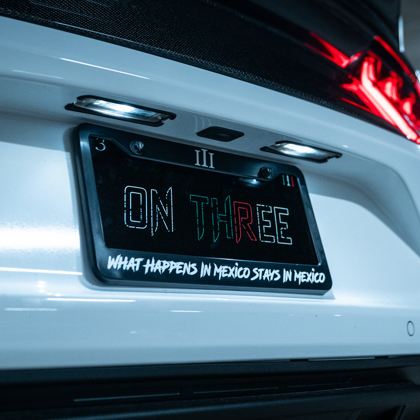 "What Happens In Mexico Stays In Mexico" Plate Frame